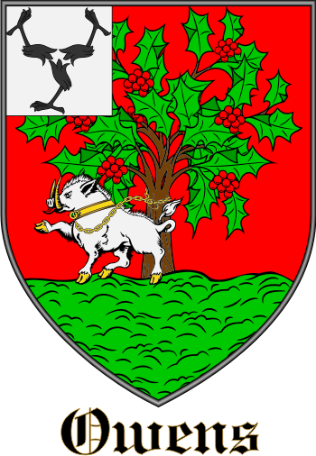 Owens family crest Owens family crest