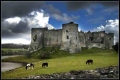 Carew Castle home of Gerald de Windsor and Nest of Deheubarth  source of Carew family